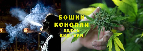 прущие грибы Кулебаки