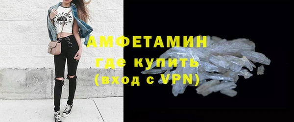 прущие грибы Кулебаки