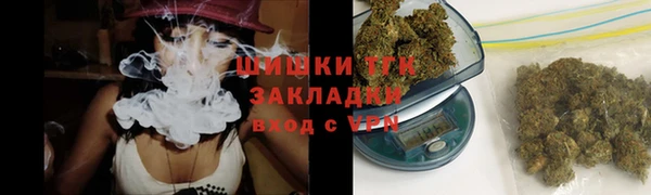 прущие грибы Кулебаки