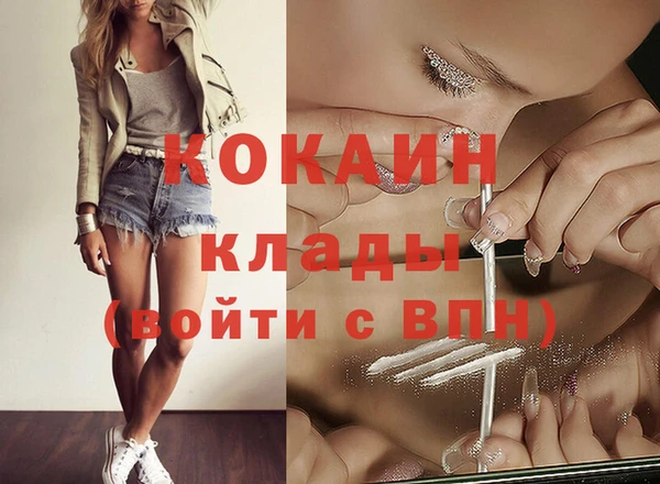 прущие грибы Кулебаки