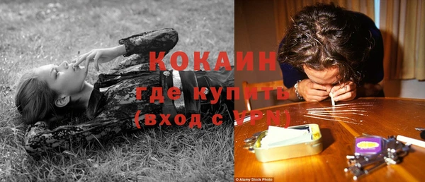 соль ск Кукмор