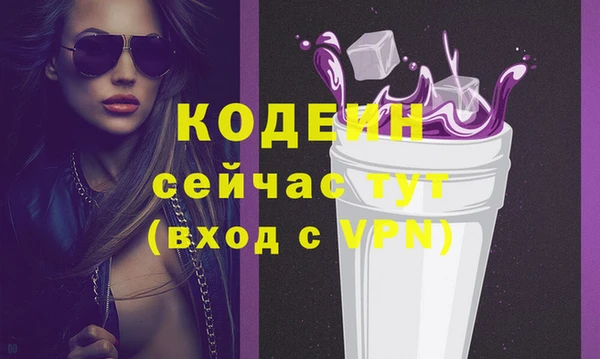 соль ск Кукмор