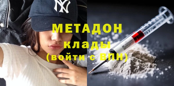 прущие грибы Кулебаки