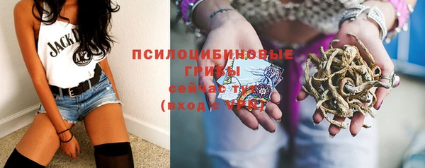 прущие грибы Кулебаки
