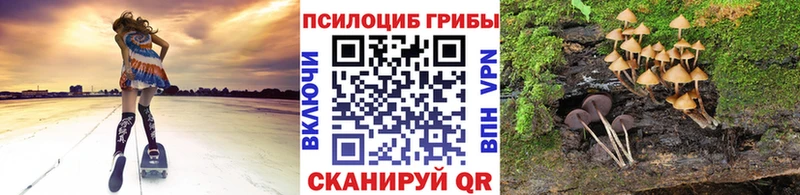 Псилоцибиновые грибы Psilocybine cubensis  Купить где  Учалы 
