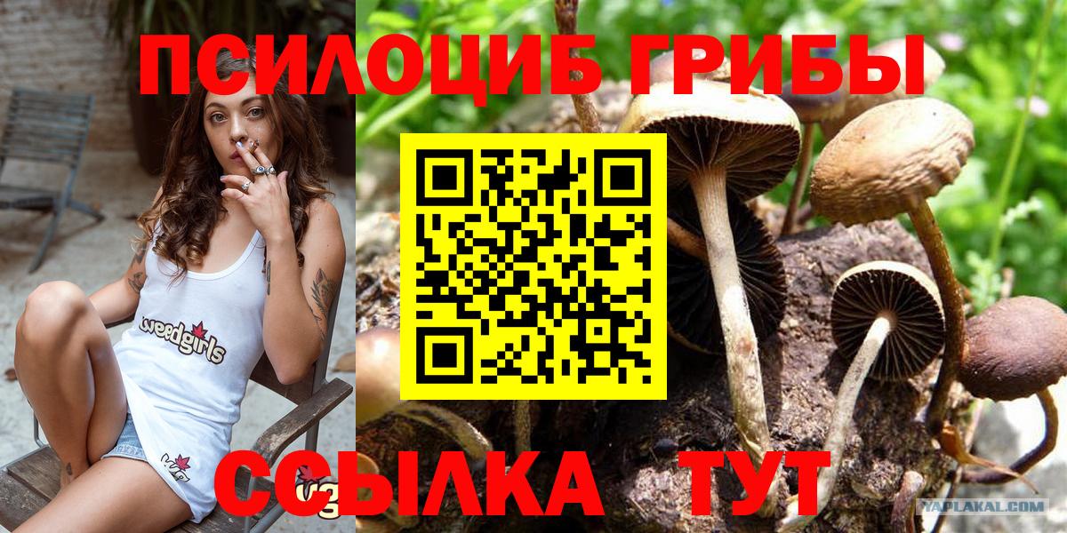 Псилоцибиновые грибы Psilocybe Учалы