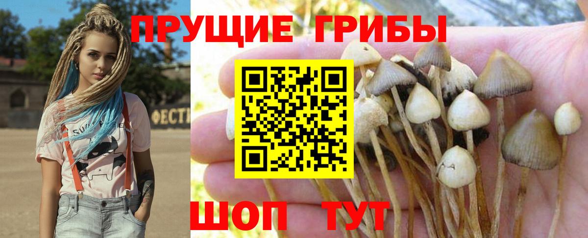 Галлюциногенные грибы Magic Shrooms  Учалы  Галлюциногенные грибы ЛСД 